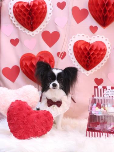 20240217ルアナちゃん